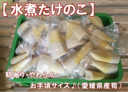 Y50. immediately ...[ vacuum water . bamboo shoots 1.6kg 4~5 sack ] tilt flight 