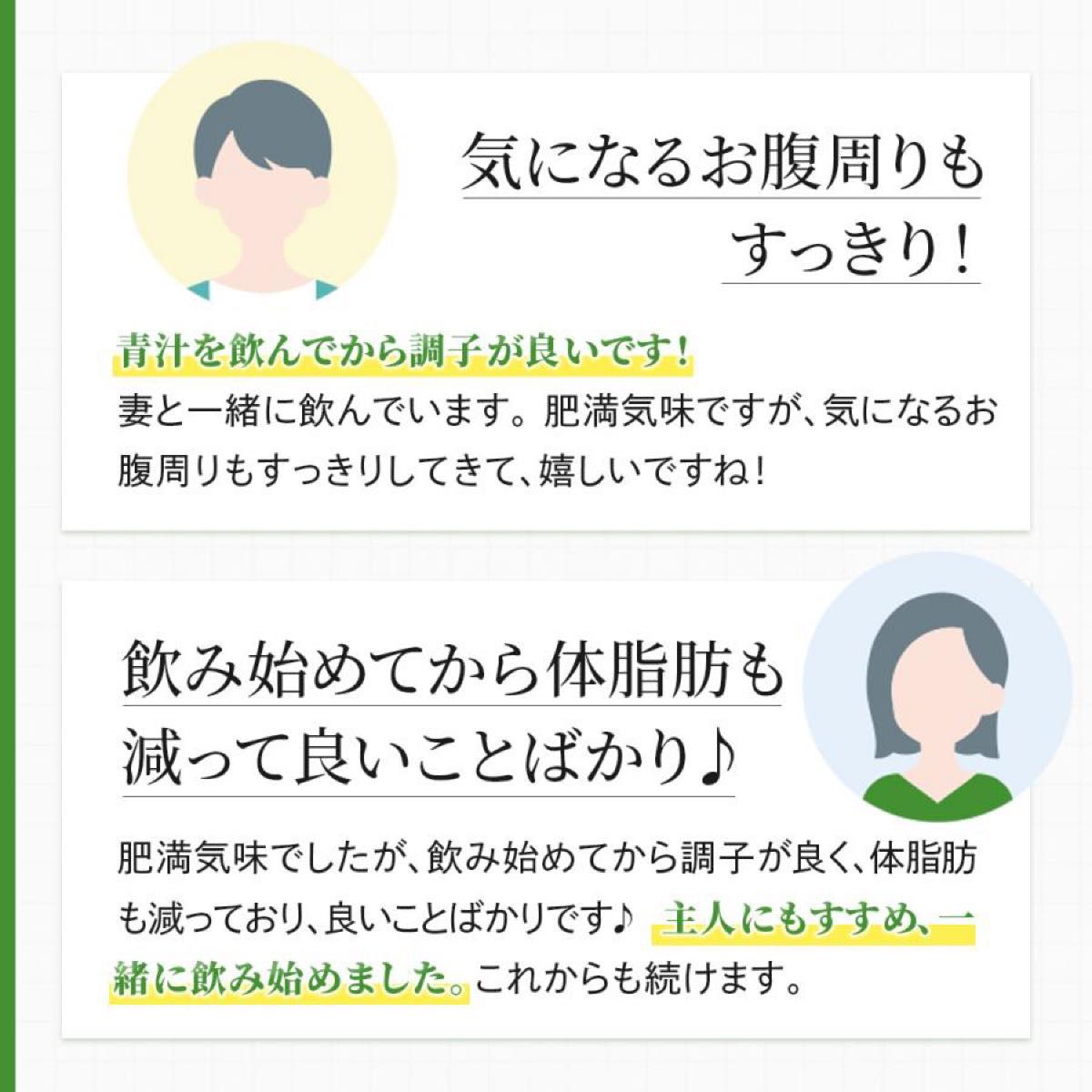 【新品未開封】 Ｗの健康青汁 新日本製薬 機能性表示食品 青汁 2箱 正規品 体脂肪 中性脂肪 血圧 乳酸菌 GABA エラグ酸