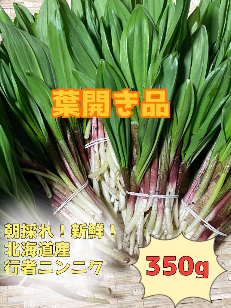 北海道産　天然物　行者ニンニク　350g 葉開き