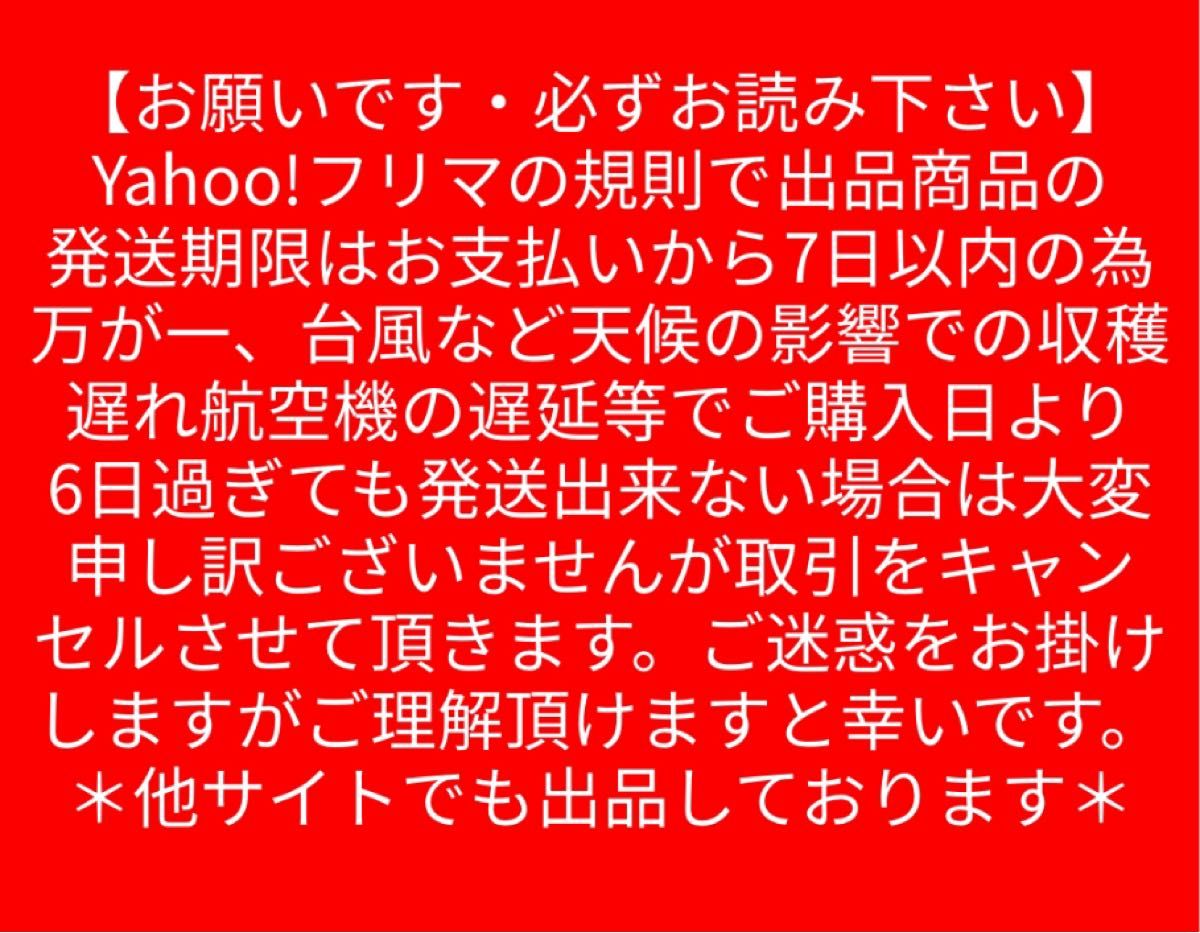 沖縄県石垣島産スナックパイン約5キロ 