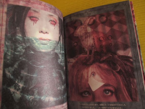 二階健 闇狩りアリスの大冒険 Alice in Spookyland　TH ART Series 書苑新社 2010年 初版_画像6