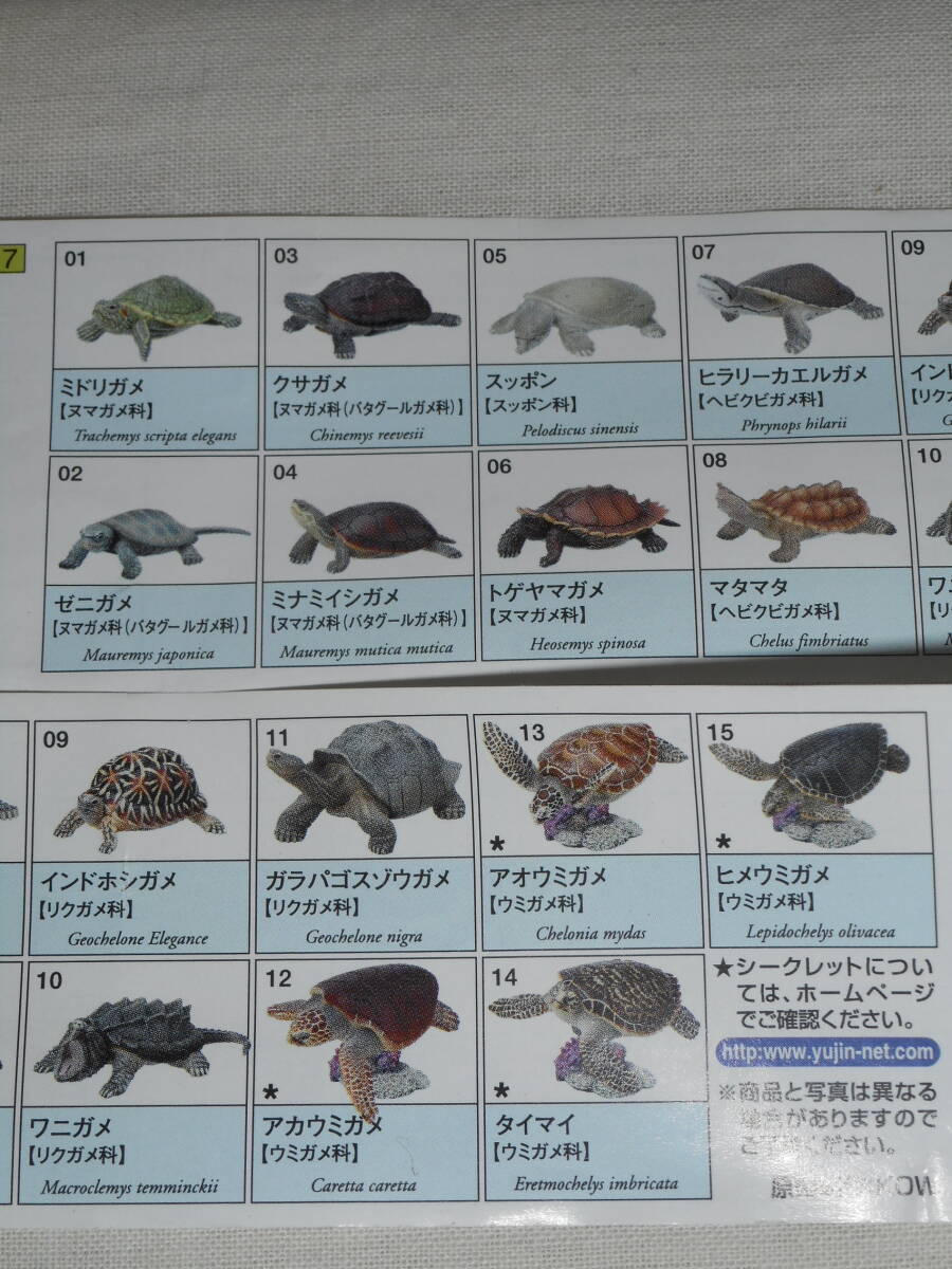YUjIN おもしろかっ ユージン 原色爬虫類カメ目図鑑 新改訂版 YUjIN おもしろかっ ユージン 原色爬虫類カメ目図鑑 新改訂版