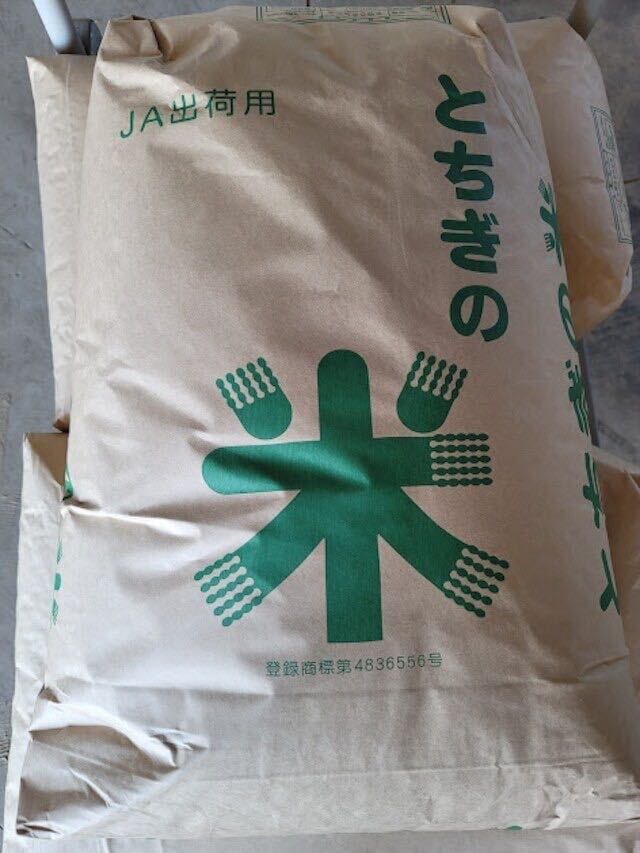 [ new rice 30kg( musenmai )] Koshihikari agriculture house direct delivery order after . rice do shipping rearing process. blog . certainly! [ free shipping ]