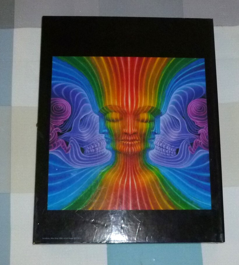 【使用品/購入時期不明です】アレックス・グレイ ALEX GREY VISIONS 画集◆8788_画像2