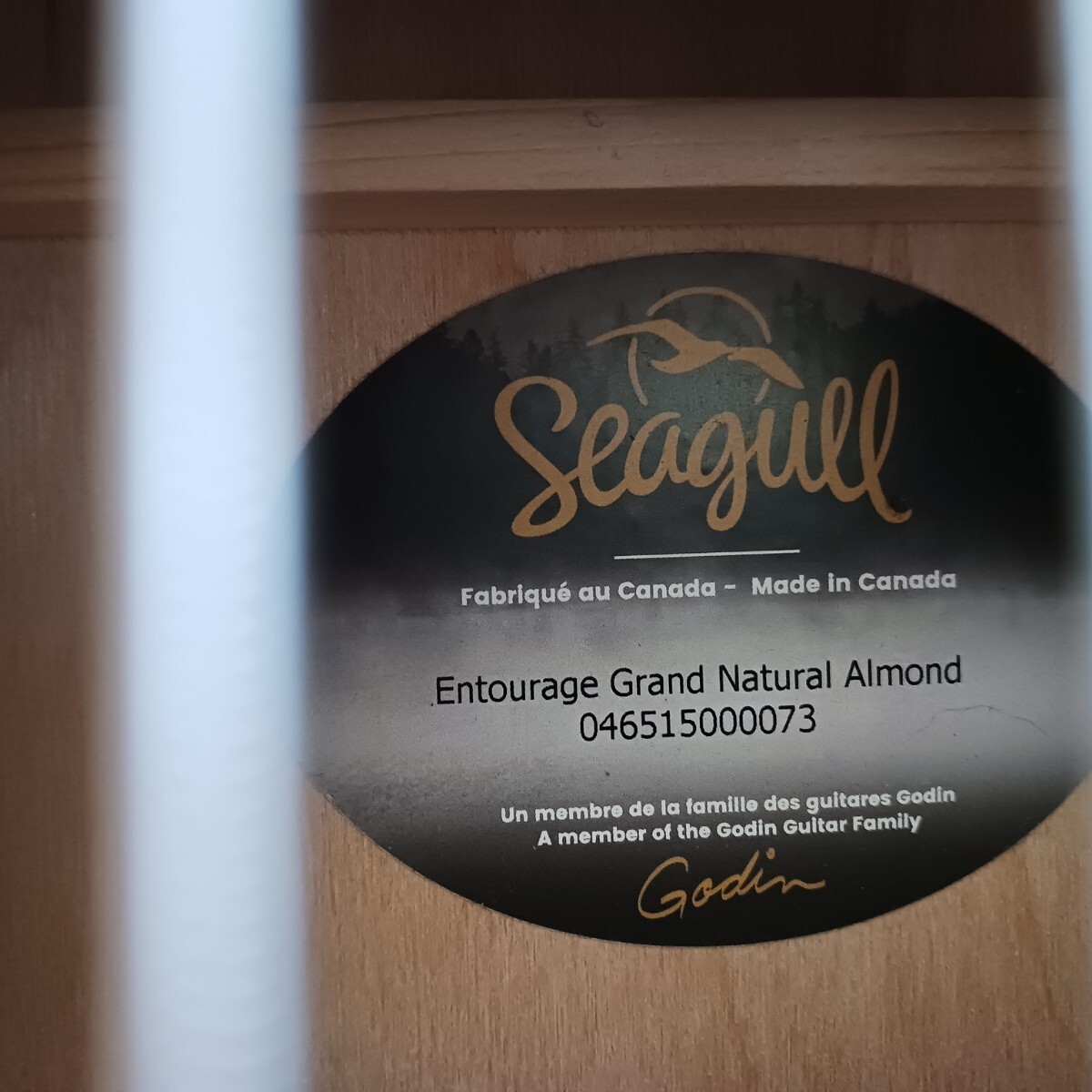 SEAGULL Entourage Grand Natural Almond　シーガルのハンドメイドギター_画像9