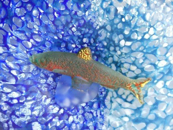 n752 KOSTA BODA コスタボダ 工芸ガラス フィッシュ 魚 立体図 色付 艶消し デザイナーズ 大型 ベース 花瓶 飾壷 27cm_画像4