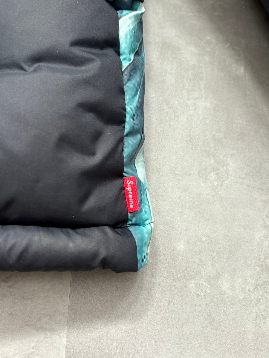 SUPREME THE NORTH FACE 自由の女神 バルトロダウンジャケット SUPREME THE NORTH FACE 自由の女神 バルトロダウンジャケット