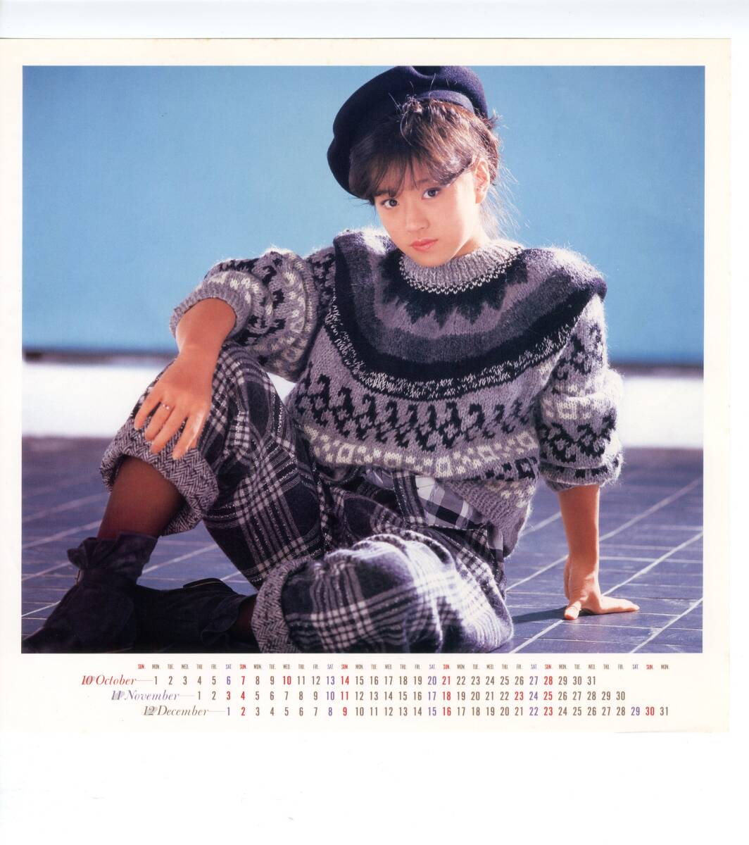 LP カラー・ポートレート2枚付き　カレンダー付き　見開き　中森明菜　メモワール　BEST AKINA【J-1052】_画像8