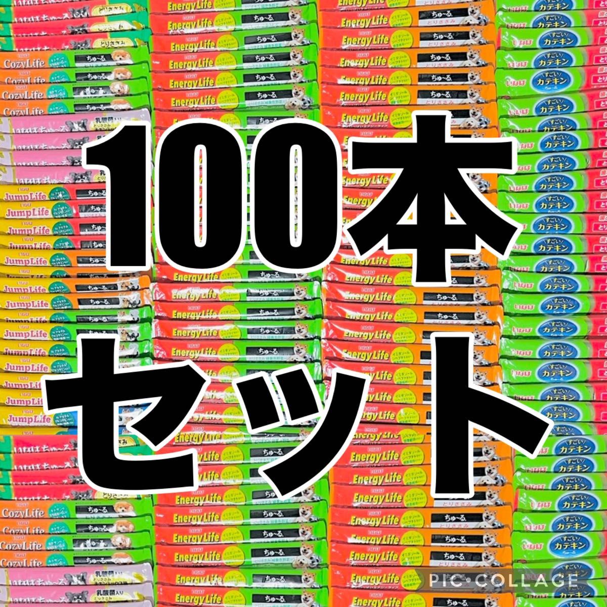 【新品・匿名即配送】いなばちゅーる★犬用おやつ★10種100本セット★国産品★