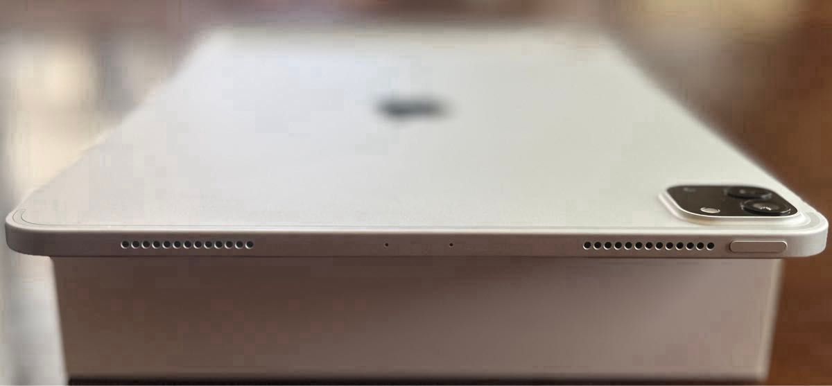 iPad Pro 11inch(2nd generation)Wi-Fiモデル 256GB シルバー iPad Pro 11inch(2nd generation)Wi-Fiモデル 256GB シルバー