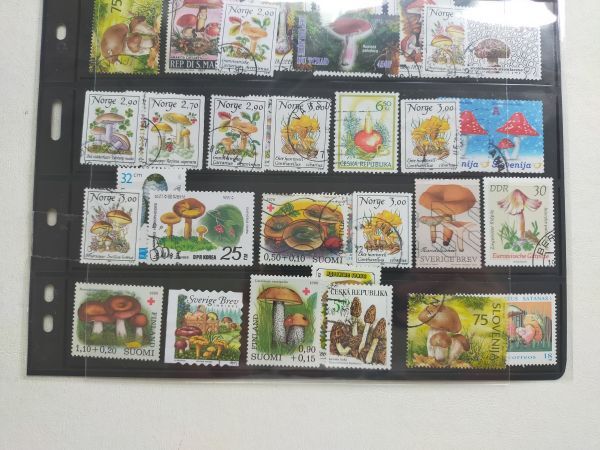 【知】外国切手 トピカル キノコ１００枚以上＋4s/s 記念主体(済) 大量 おまとめ お家で過ごそう 切手を楽しもう /2715の画像6