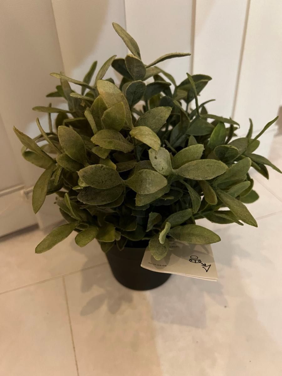 【新品】IKEA イケア フェイクグリーン4個セットフェイカ アートグリーン 造花 人工観葉植物