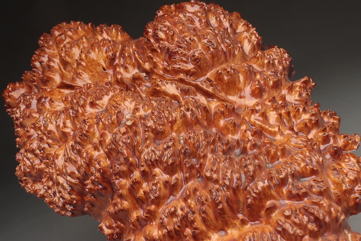 JK604 天然木 自然木 木瘤 玉杢 オブジェ 幅30.5cm 重1.1kg・樹瘤・瘤杢 瘤樹 瘤木 装飾品の画像2
