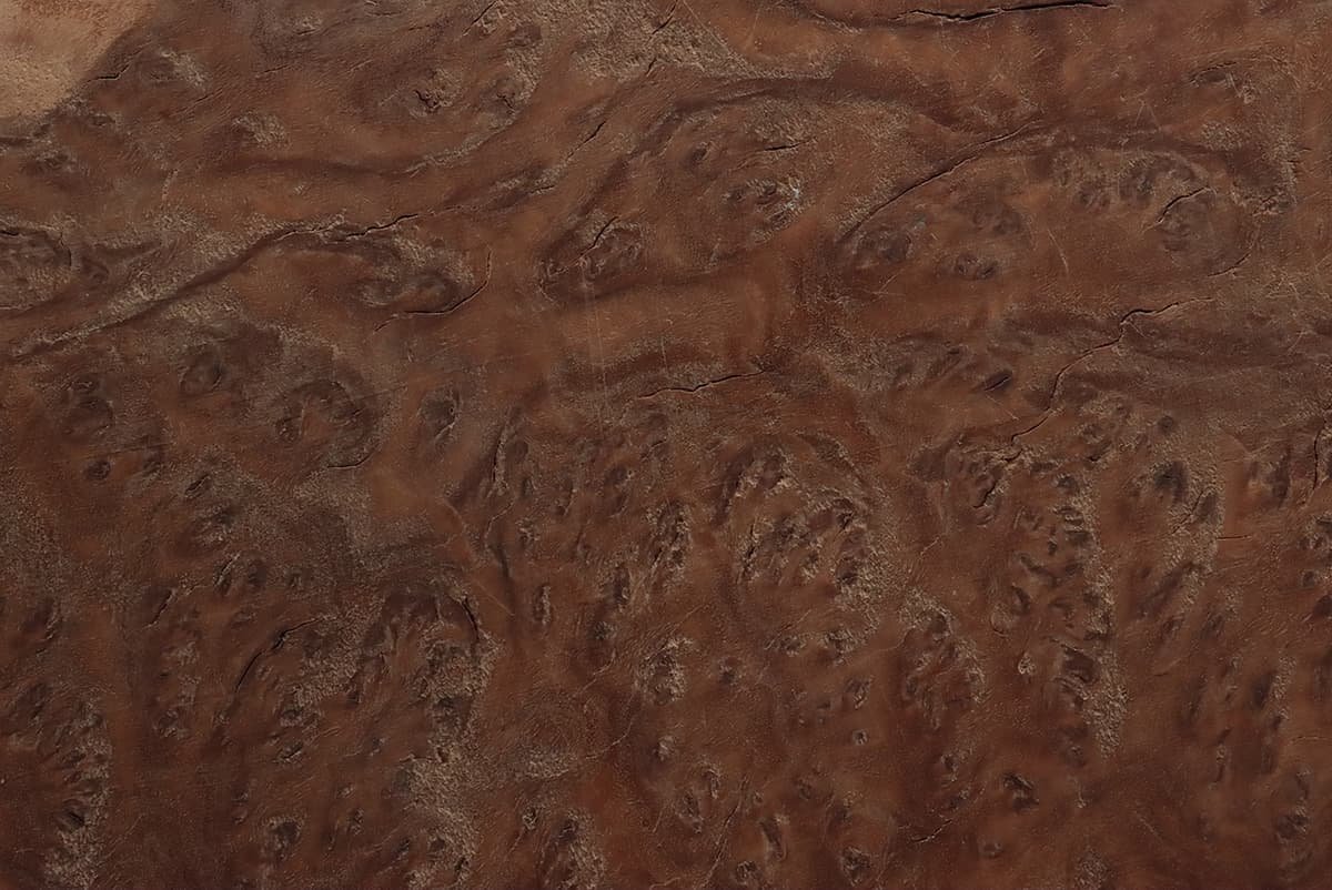 JK604 天然木 自然木 木瘤 玉杢 オブジェ 幅30.5cm 重1.1kg・樹瘤・瘤杢 瘤樹 瘤木 装飾品の画像9