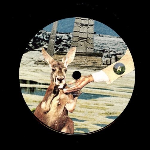 2017年 ドイツ盤LP！シュリンク付 Pete Rock / INI / Lost Sessions【Vinyl Digital / VinDig244】ピート・ロック ヒップホップ hiphop_画像2