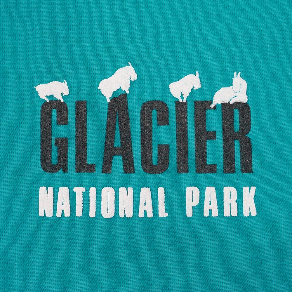 グレイシャー国立公園 Glacier National Park 90s スーベニア Tシャツ USA製 JERZEES ビンテージ 古着 (-1848) グリーン XL_画像4