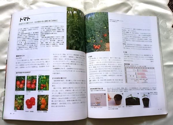  separate volume NHK hobby. gardening handmade. fresh vegetable 365 day prejudice. kitchen garden postage included 