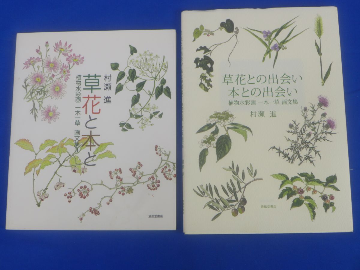 ゆS7857●草花と本と: 植物水彩画一木一草画文集 1＆2_画像1