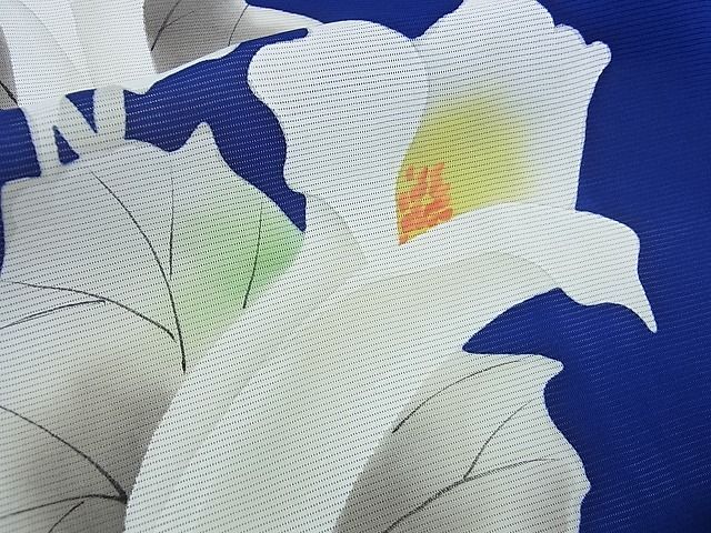 平和屋2■夏物　訪問着　絽　草花文　手描き　逸品　DAAC1856wb_画像7