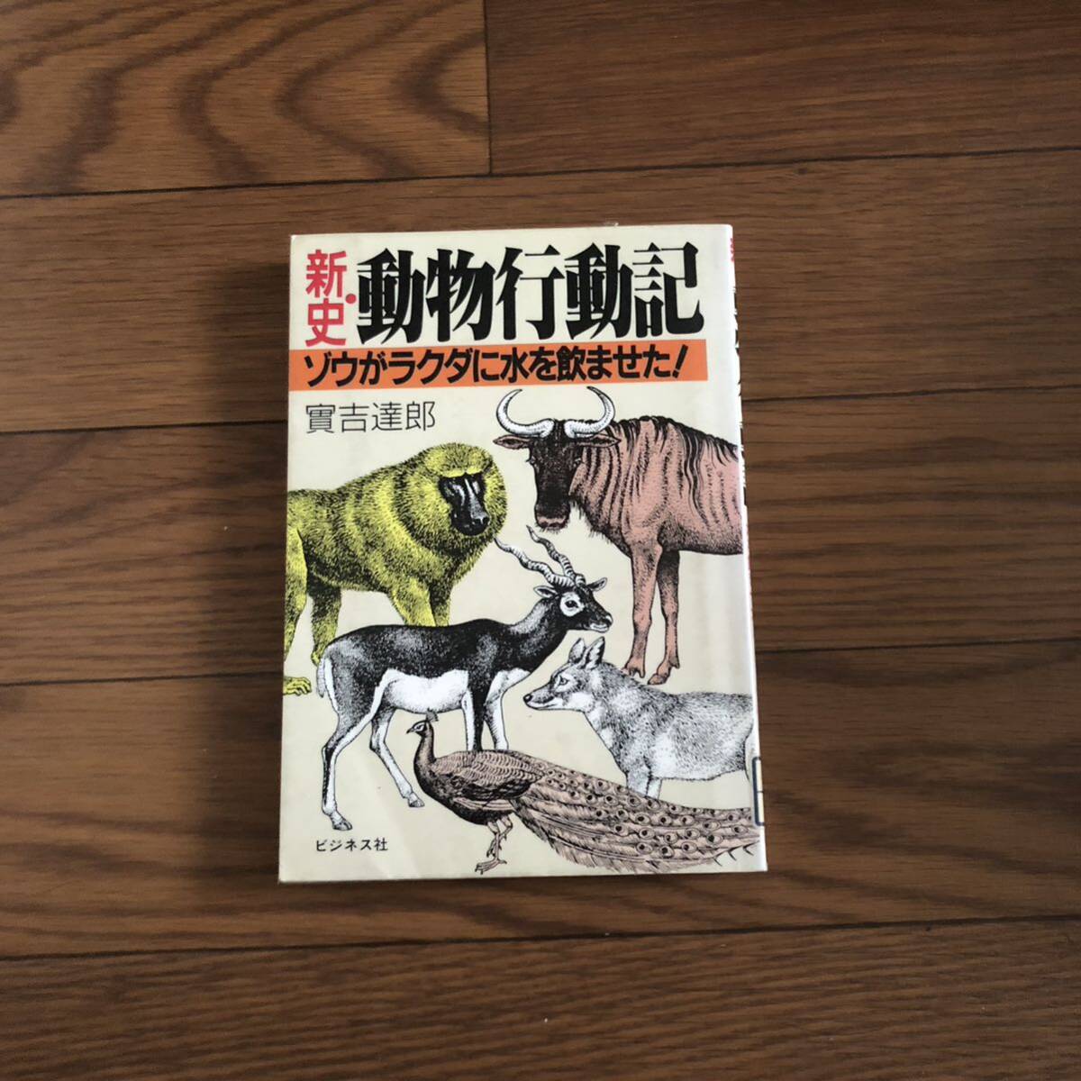 新史・動物行動記 ゾウがラクダに水を飲ませた! 實吉達郎著　ビジネス社　1989年6月初版　リサイクル本　除籍本