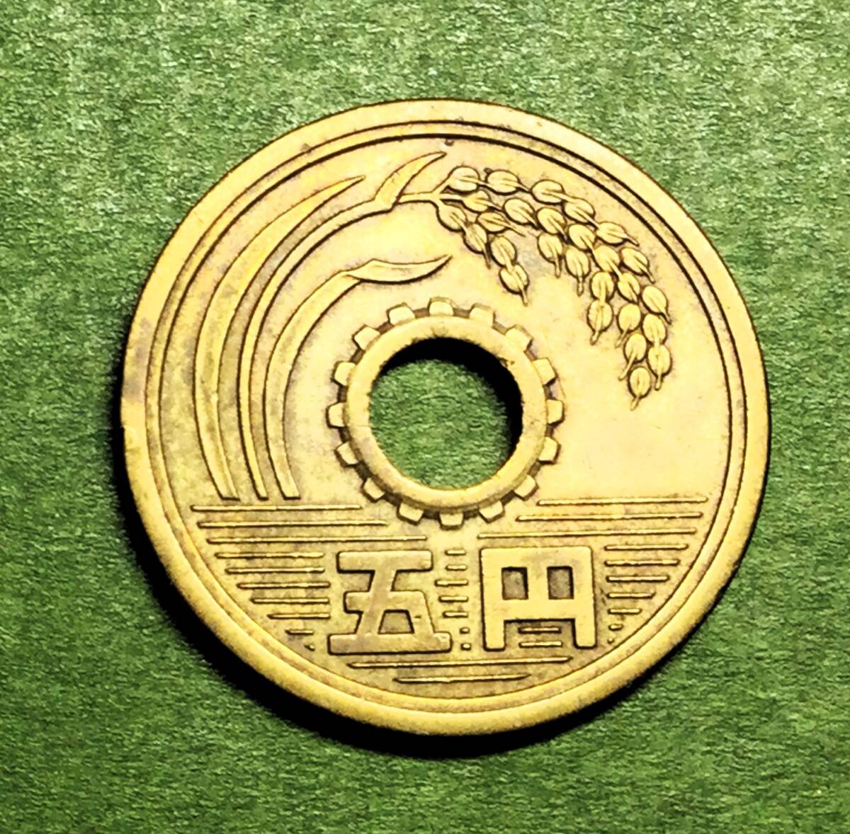 1649 　特年レア　　昭和34年　５円黄銅貨　 美品_画像2