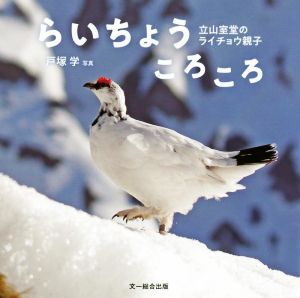 写真集　らいちょうころころ 立山室堂のライチョウ親子／戸塚学_画像1