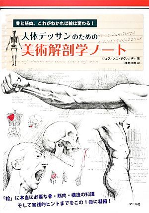 人体デッサンのための美術解剖学ノート 骨と筋肉、これがわかれば絵は変わる！／ジョヴァンニチヴァルディ【著】，榊原直樹【訳】_画像1