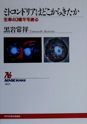 ミトコンドリアはどこからきたか 生命４０億年を遡る ＮＨＫブックス８８７／黒岩常祥(著者)_画像1