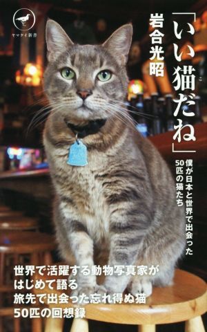 いい猫だね 僕が日本と世界で出会った５０匹の猫たち ヤマケイ新書／岩合光昭(著者)_画像1