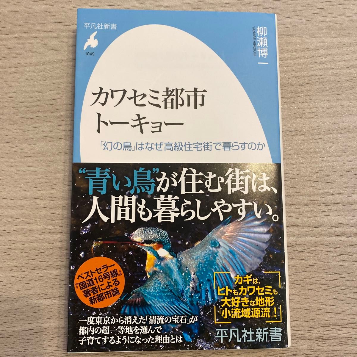 カワセミ都市トーキョー　「幻の鳥」はなぜ高級住宅街で暮らすのか （平凡社新書　１０４９） 柳瀬博一／著