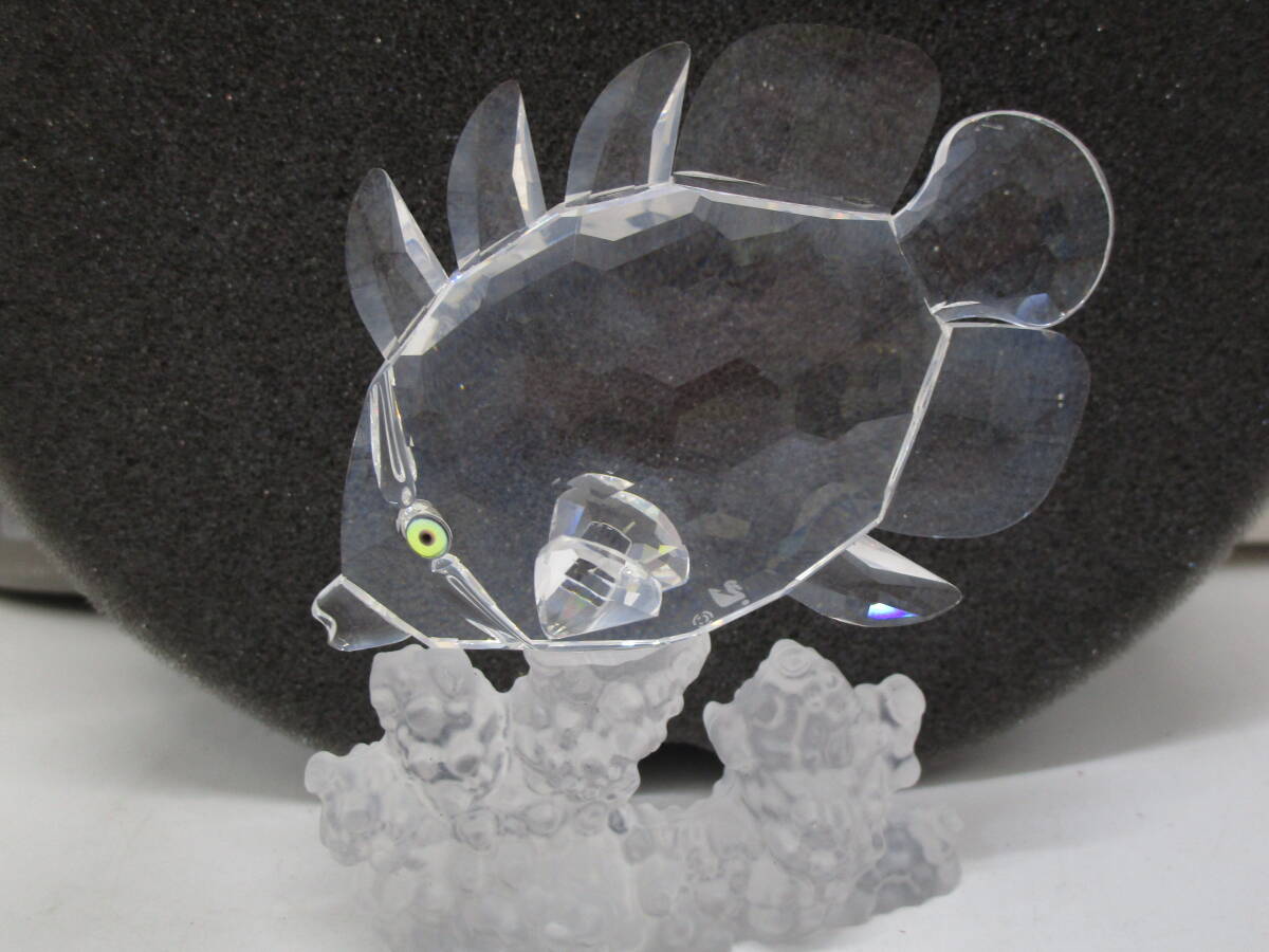 SWAROVSKI Swarovski тропическая рыба enzeru рыба украшение crystal стекло ширина 7cm длина 2cm высота 8cm(UMGFR