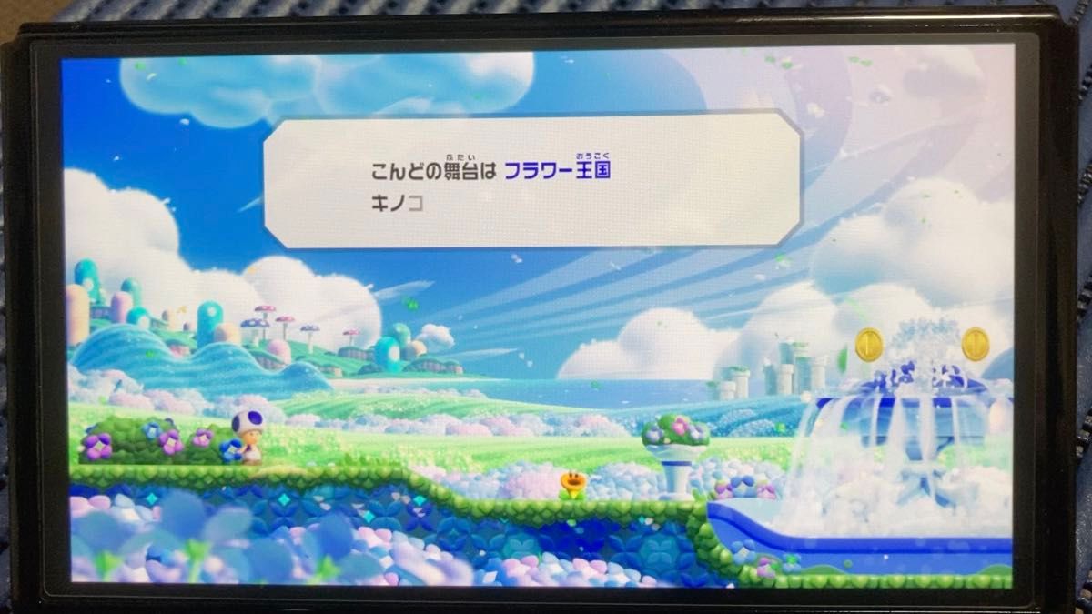 【Switch】 スーパーマリオブラザーズ ワンダー　値下げ不可