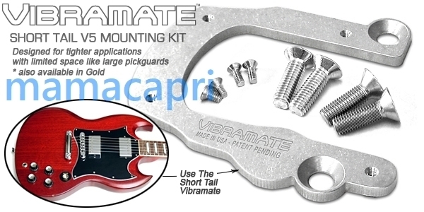 新品Vibramate Short V5Mounting Kit Silver For Bigsbyビグスビー B5用 ショート ヴィブラメイト ビブラメイトＧibsonギブソン等 シルバーの画像7