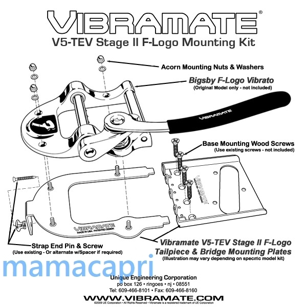 新品Vibramate Stage II V5-TEV-2-F F-LOGO Kit Silver For Bigsbyビグスビー B5 Fロゴ 用 ビブラメイトFender Telecasterテレキャスター等の画像7