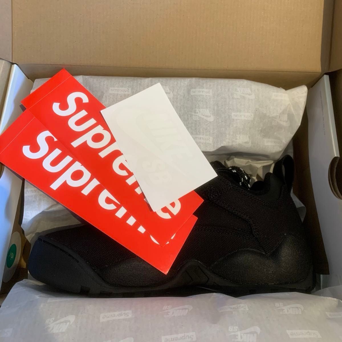 Supreme Nike SB Darwin Low Black 27cm