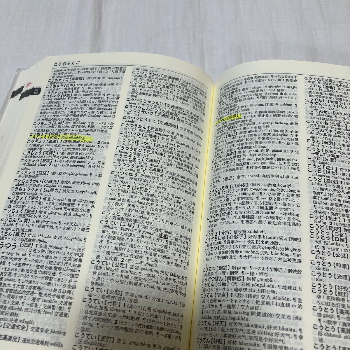 小学館　日中辞典　第二版