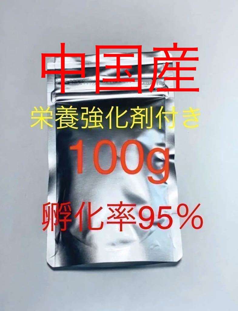 送料無料　おまけ付き　中国産　高品質ブラインシュリンプ　100g 栄養強化剤サンプル付き　100g袋小分け_画像1