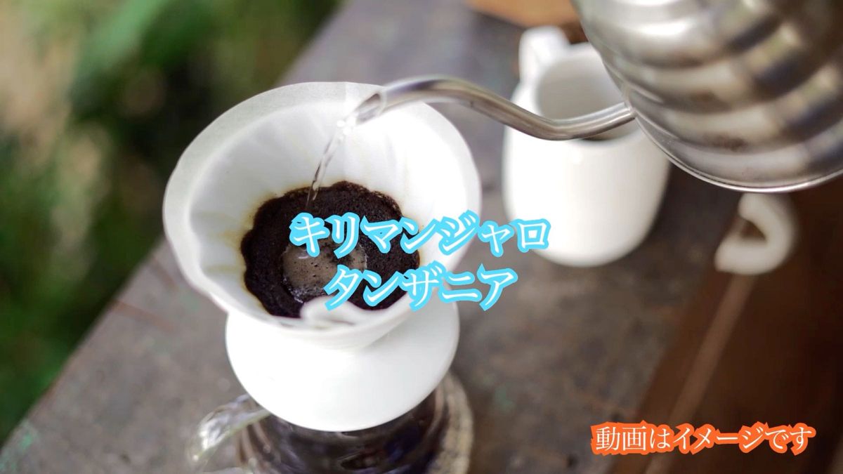 業務用 コーヒー豆 1kg キリマンジャロAA タンザニア