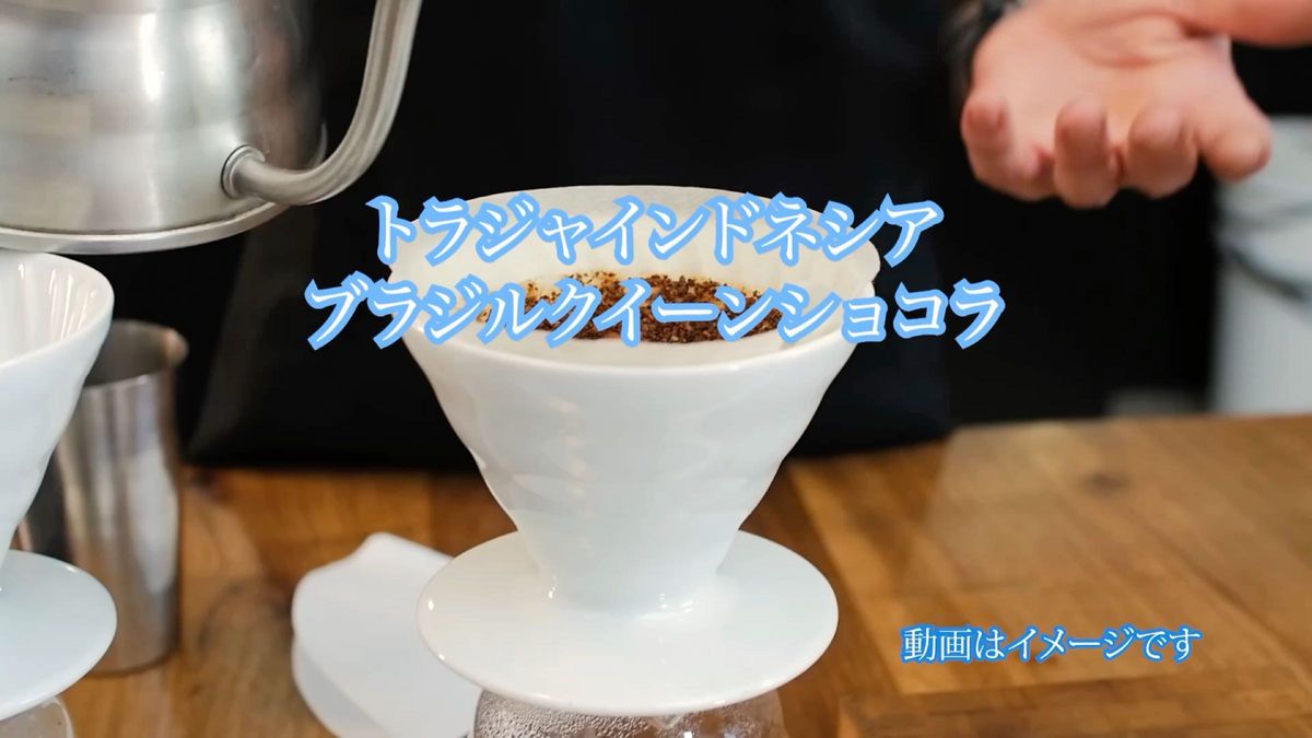 ギフト箱入り　コーヒー豆 合計 500g トラジャインドネシア 250g ブラジルクイーンショコラ 250g