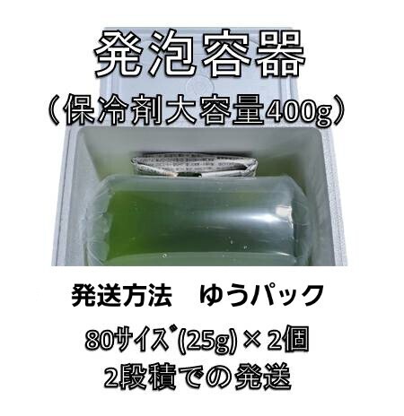 タマミジンコ50g+α150,000匹「めだか金魚熱帯魚の生き餌に！」の画像3