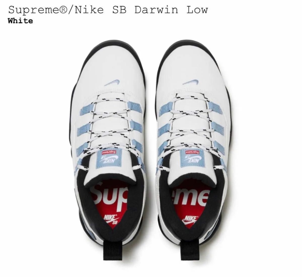 Supreme Nike SB Darwin Low White 27.5  NIKE ナイキ