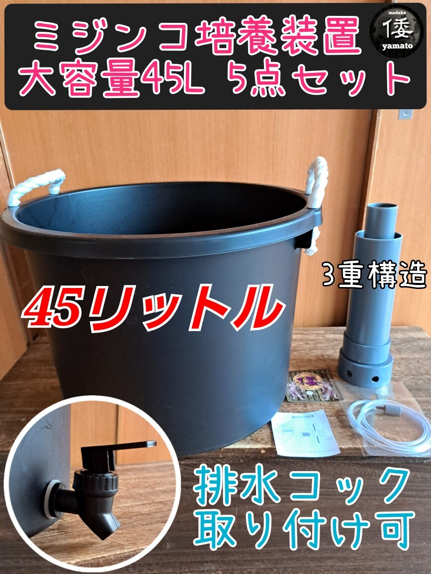 [. medaka ] * super high capacity 45Lmi Gin ko breeding 5 point set ~ drainage cook installation possible oo mi Gin ko Moina macrocopa Thai likmi Gin ko equipment breeding .