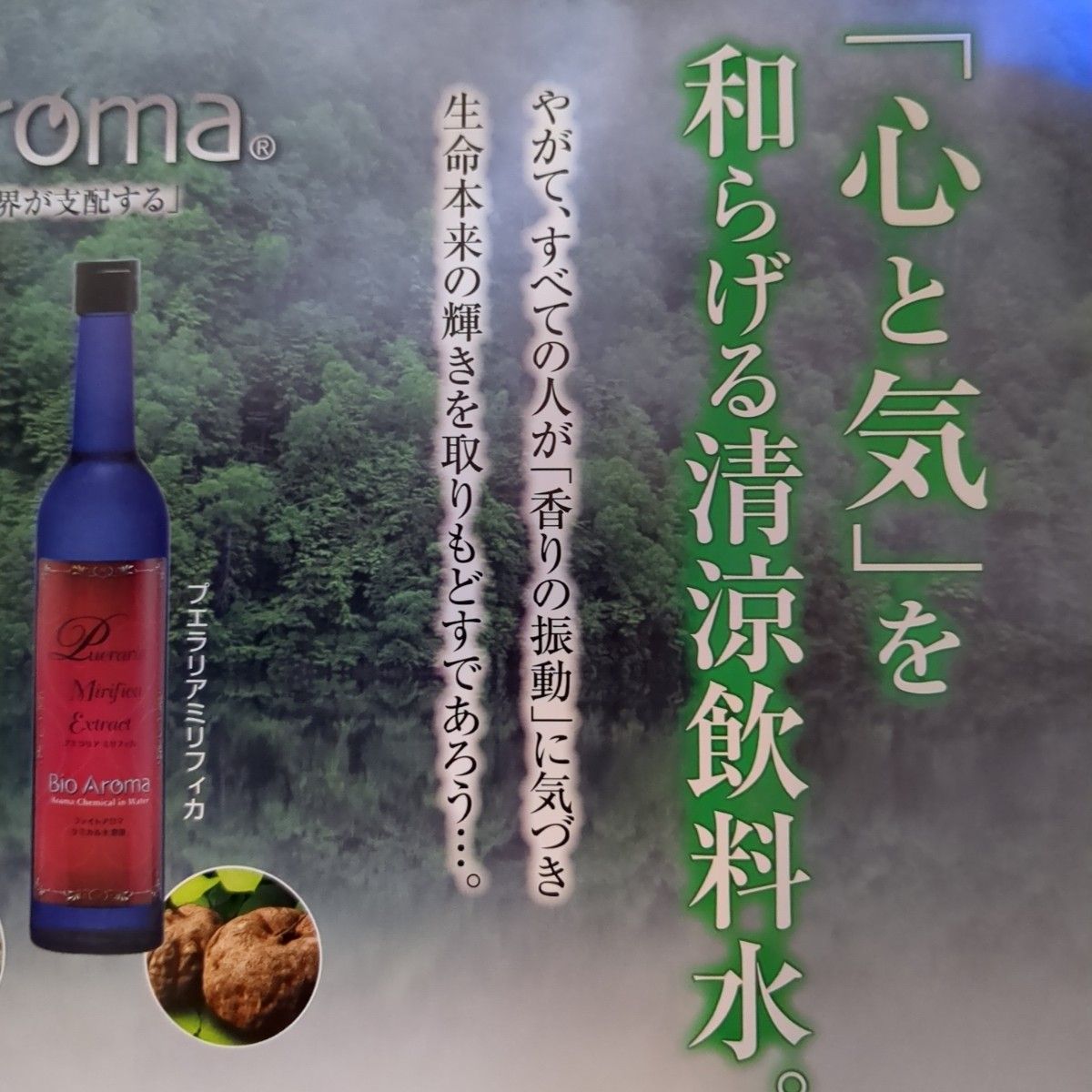 バイオアロマ 水 緑豆 Bio Aroma 500ml|Yahoo!フリマ(旧PayPay バイオアロマ 水 緑豆 Bio Aroma 500ml|Yahoo!フリマ(旧PayPay