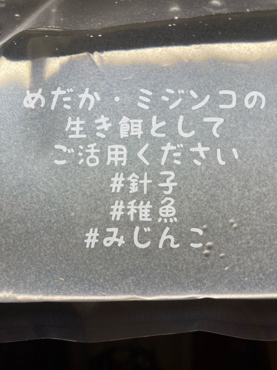 【ゾウリムシ】　500ml ゾウリムシ ミジンコ めだか 針子 稚魚 クロレラ PSB 生き餌 エサ エビ グッピー 熱帯魚