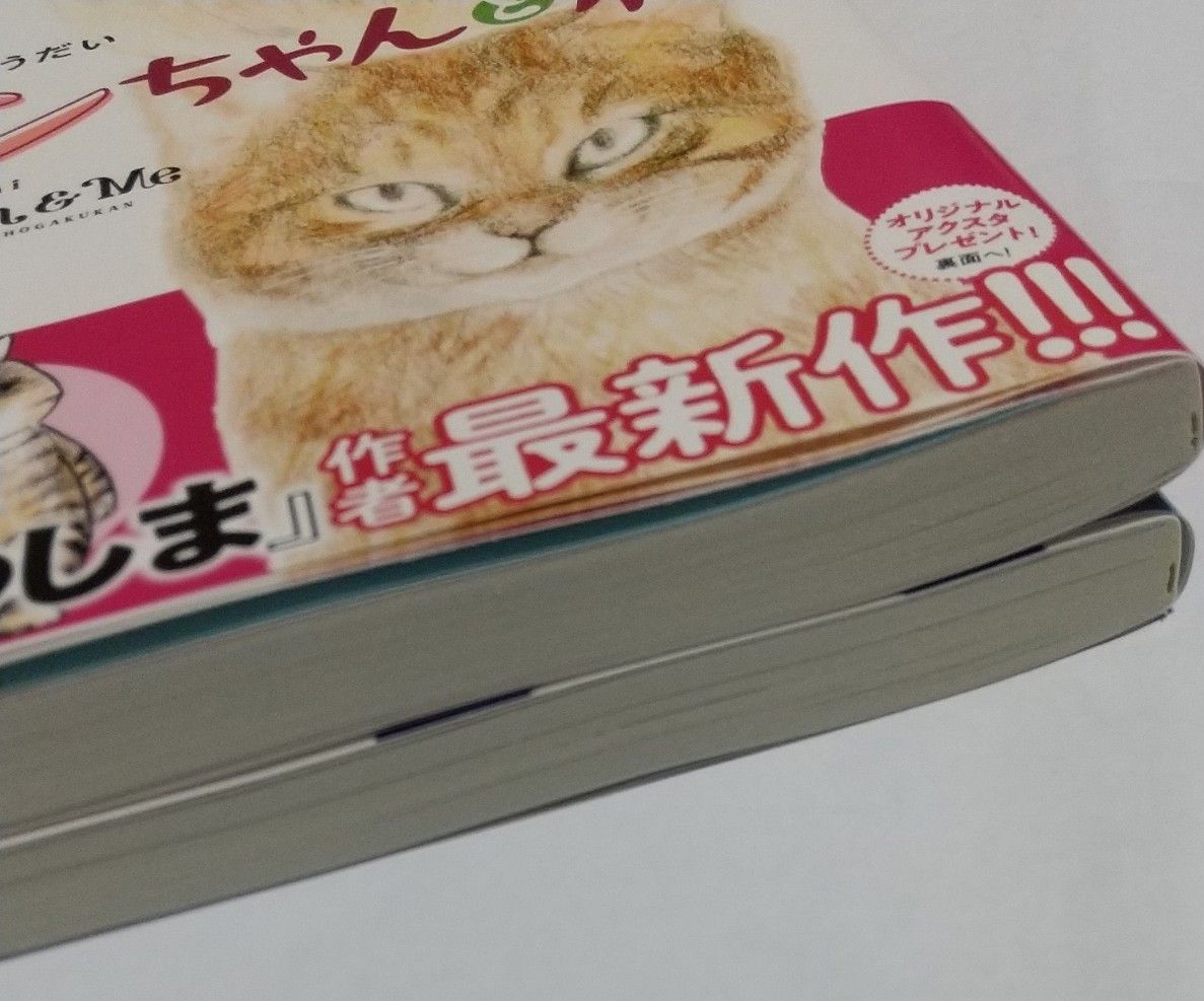 専用です。モンちゃんと私　上下巻  おぷうのきょうだい／著　／ クリームイエローの海と春キャベツのある家