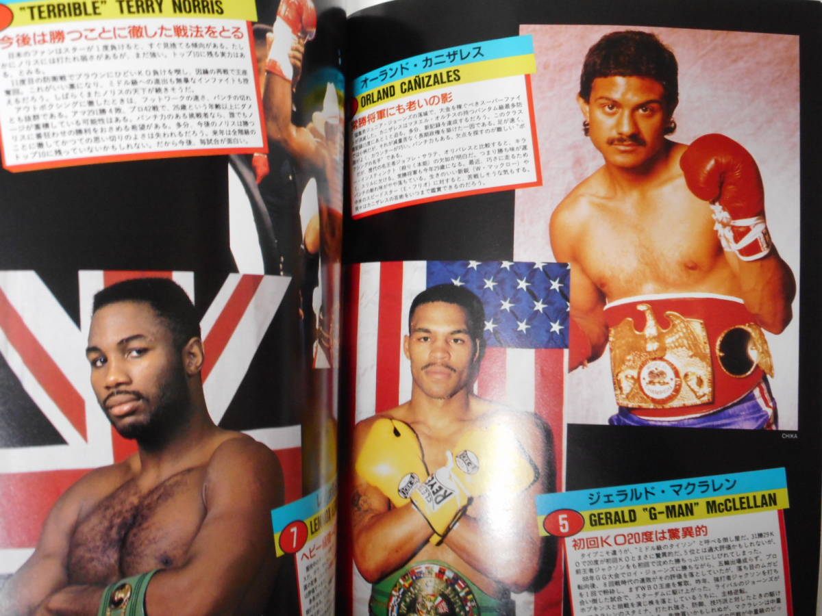 ワールド・ボクシング・スーパーチャンプ'94 WBA・WBC・IBF3団体現役全階級世界チャンピオン名鑑_画像3