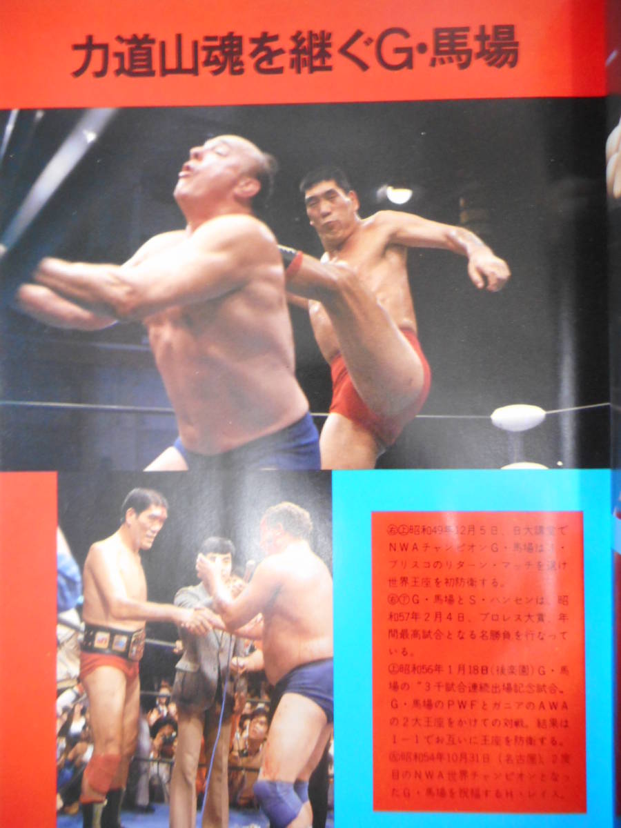  Japan Professional Wrestling 30 year history power road mountain,ja Ian to horse place, Great * Cub ki, length . power, first generation Tiger Mask, Mill * mascara s, The * fan ks