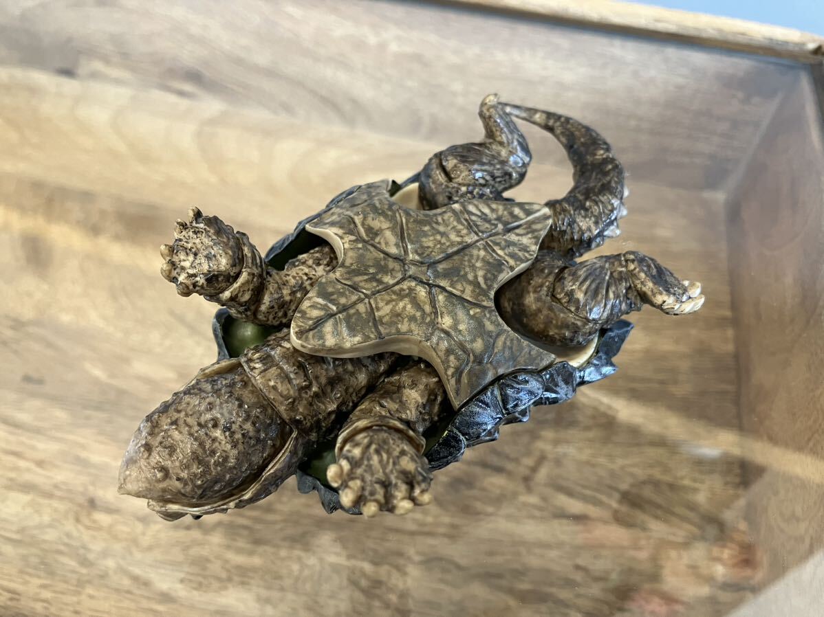 ワニガメ alligator snapping turtle フィギュア いきもの大図鑑 ワニガメ alligator snapping turtle フィギュア いきもの大図鑑