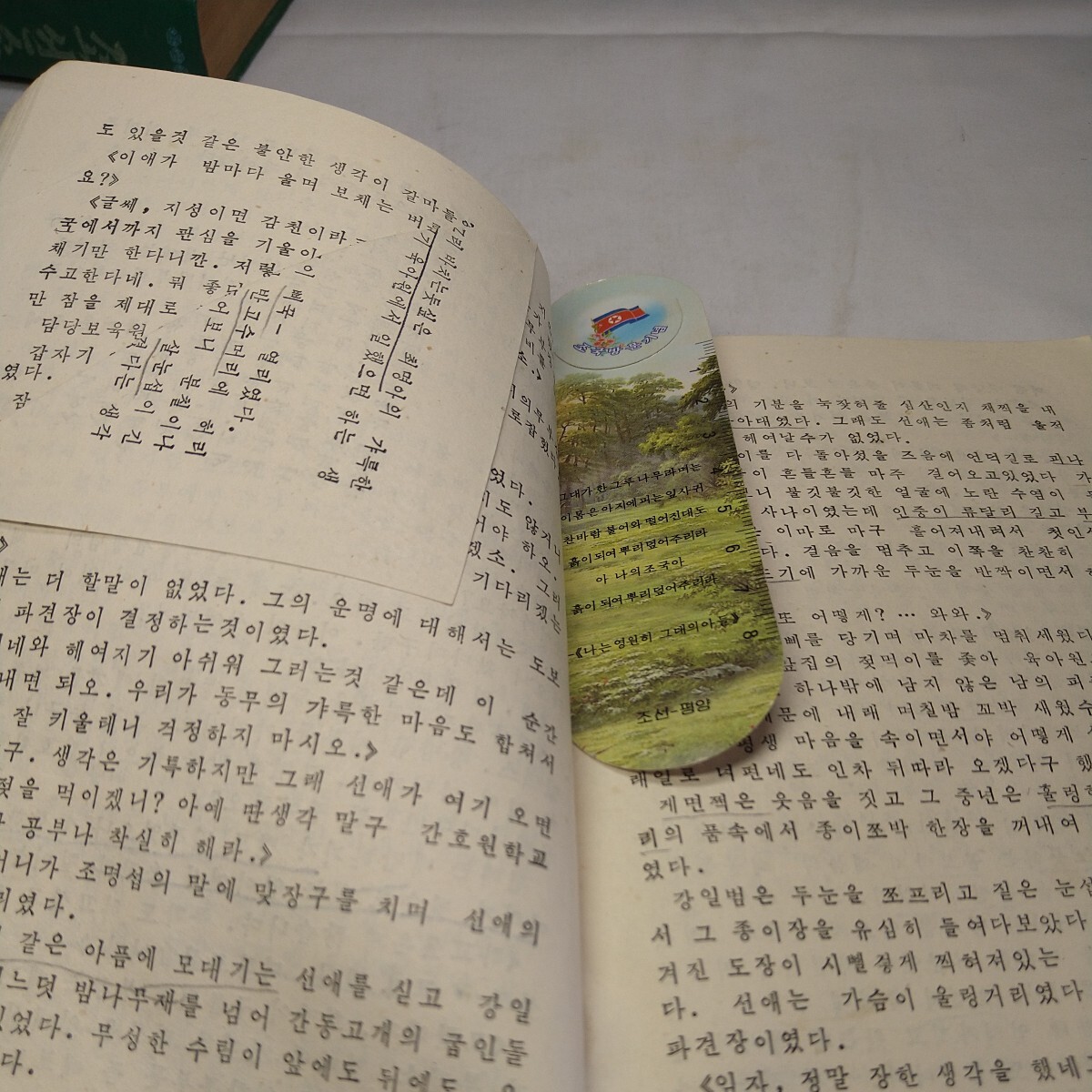 a-1468◆韓国 北朝鮮 書物 貴重 資料 ハングル 古書 外国書 線書きあり 中古本◆状態は画像で確認してください。の画像8