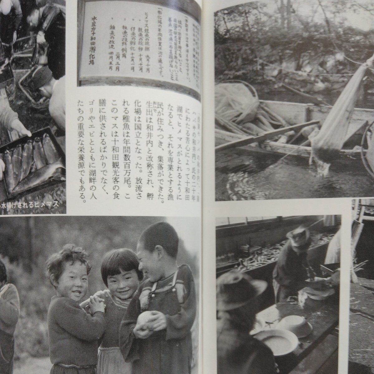 岩波写真文庫〈復刻ワイド版〉103 十和田湖　1958_画像10